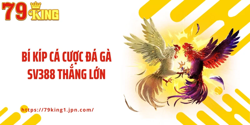 Bí kíp cá cược đá gà SV388 thắng lớn