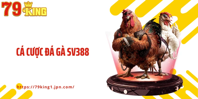 Cá Cược Đá Gà Sv388 – Sân Chơi Đẳng Cấp Cho Tín Đồ Đam Mê Gà Chiến
