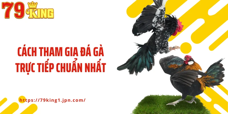 Cách tham gia đá gà trực tiếp chuẩn nhất