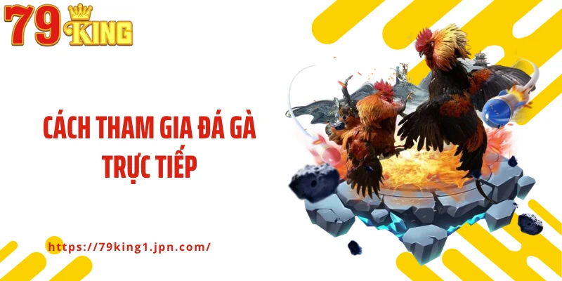 Khám Phá Cách Tham Gia Đá Gà Trực Tiếp Chi Tiết Cho Người Mới