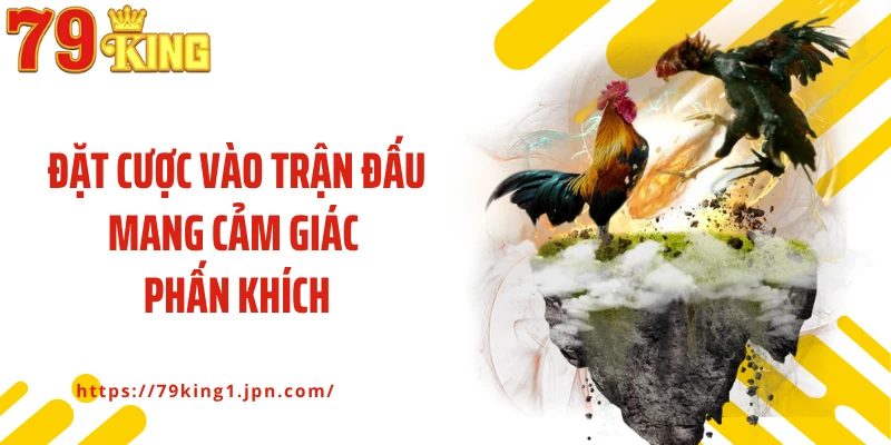 Đặt cược vào trận đấu mang cảm giác phấn khích