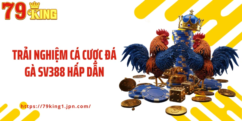 Trải nghiệm cá cược đá gà SV388 hấp dẫn