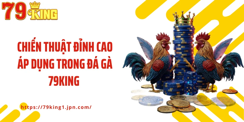 Chiến thuật đỉnh cao áp dụng trong đá gà 79King 
