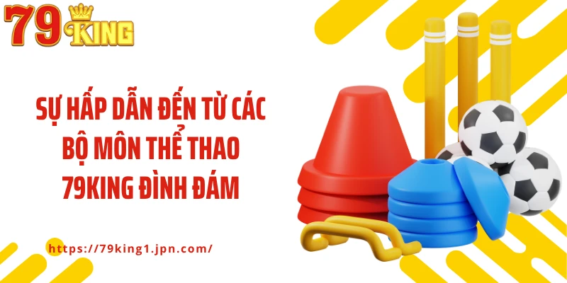 Sự hấp dẫn đến từ các bộ môn thể thao 79King đình đám